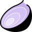 ConnectOnion logo